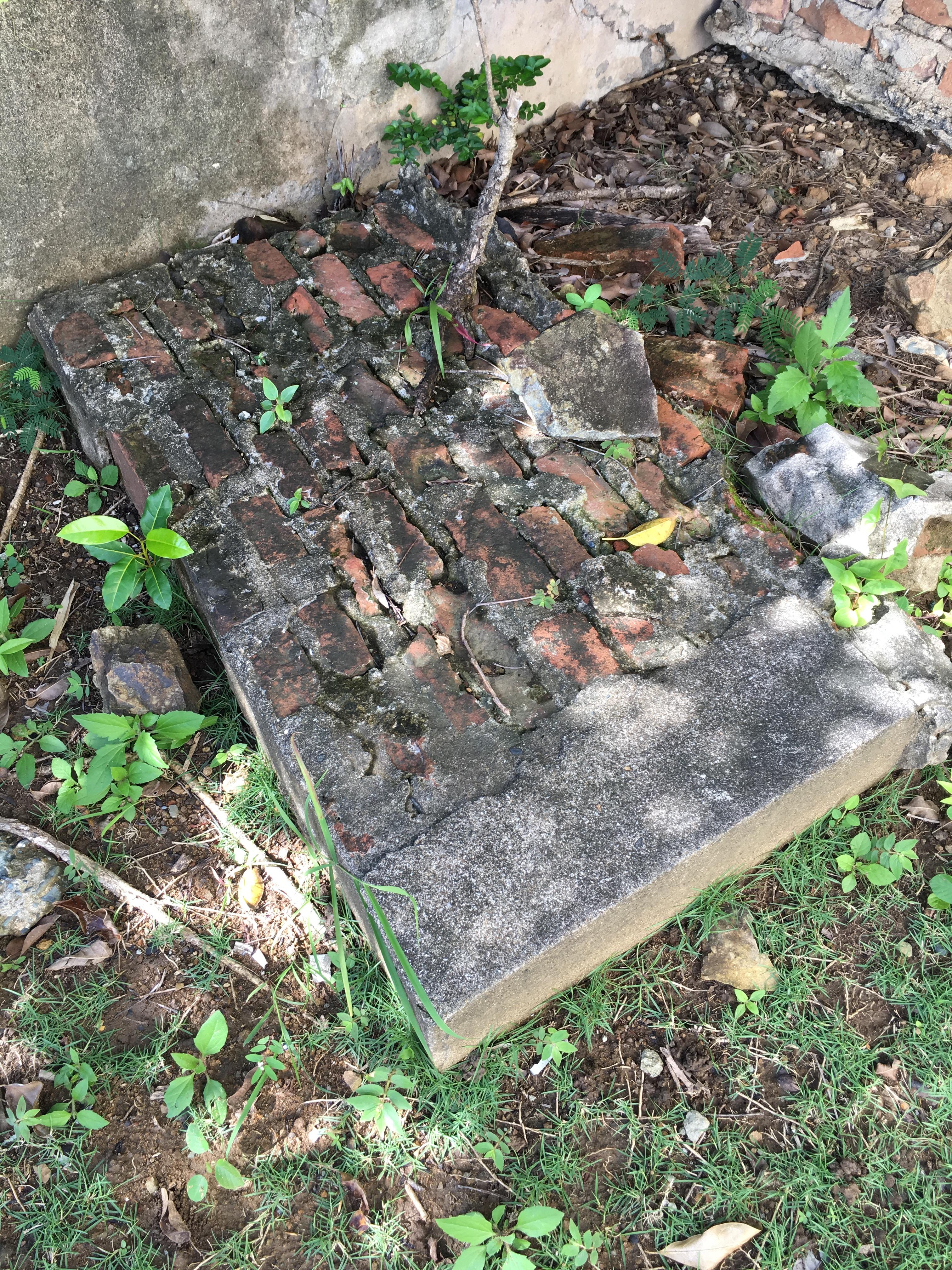 Castillo Villa del Mar - Naguabo - 2015 00118